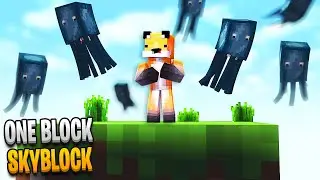 Minecraft Skyblock But You Only Get 1 Block (8)
