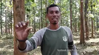 দীপৰ হতে কিছু কথা আৰু ধেমালি I Prithviraj Dutta