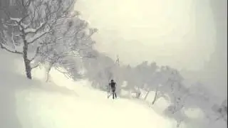 Trees Are Hard To See In a Snow Storm