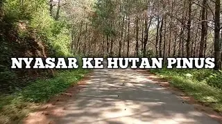 motovlog_malah nyasar ke hutan pinus @ABAHUUCHANNEL79