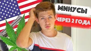 Минусы Жизни В Америке Спустя 2 года