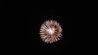 5 inch  homemade fireworks:   ---- GREEN   AND  RED PEONY