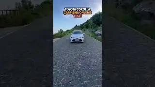 Toyota Corolla Collision Avoidance Test