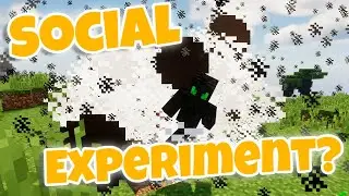 I participated in a Minecraft social experiment