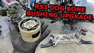 Audi RS3 Full dog bone bushing UPGRADES.