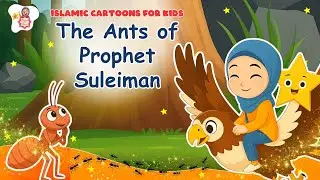 Story of Ant | Surah Namal | Ant and Prophet Suleman | Shine With Tara | Islamic Cartoons