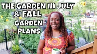 The Garden in July & Fall Garden Plans