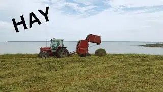 LETS MAKE SOME HAY