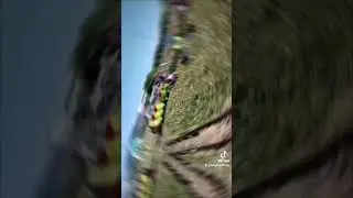 Aller vient je t'emmène petit frère !