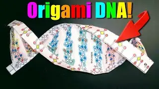 You Can Fold Origami DNA!🧬