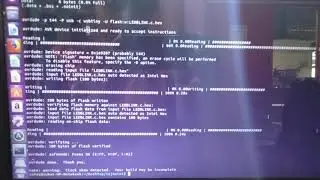 LED blink with 'Linux' operating system.