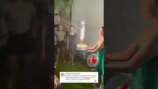 Дом бабочек Миасс отзывы