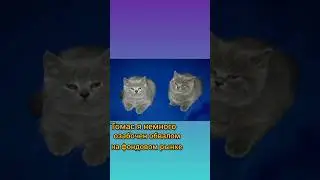Томас и Уильям:Томас я немного озабочен обвалом на фондовом рынке.Уильям Но мы же Кошки Превосходно!
