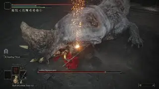 Watch This If You're Struggling With Golden Hippo | No Hit | Elden Ring
