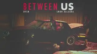 dvsn - Between Us (feat. Snoh Aalegra) [Official Audio]