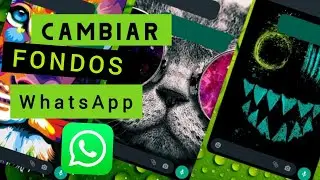 Cambiar el Fondo de WhatsApp a Cada Contacto, Actualizado 2022