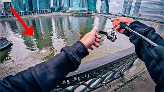 ДЕНЬ, когда я ПРОЕ**Л ВСЕ ТРОФЕИ / Daiwa 23 AIRITY LT 2500S