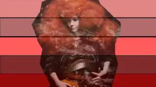 Bjork fin
