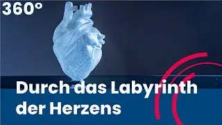360° Wissenschaft: Durch das Labyrinth des Herzens [Reupload]