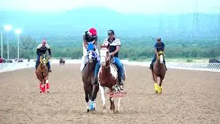 EL CHARRITO VS LA LLUVIA  250 YDS