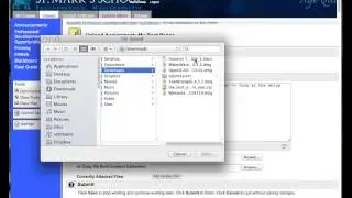 Creating and Collecting Assignments in Blackboard