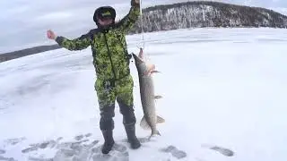 ЗАКРЫТИЕ ЗИМНЕГО СЕЗОНА НА КВХ.  ЕГО ПЕРВЫЙ КРОКОДИЛ НА ЖЕРЛИЦЫ. ЧАСТЬ 1.