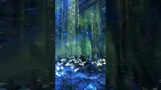 #музей_впечатлений