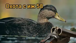 охота с иж 58. утка на 70 метров+-.2022