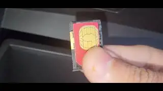 Chip do Dolphin GS - Internet