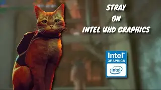 Stray | Intel UHD Graphics | 8GB RAM | Intel Core i5 10500H