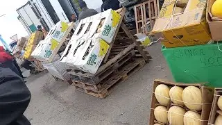 15 июня 2022 г.фуд - сити рынок 📢📢Ураа сезон Дыня и Арбуз, Друзья подержите канал 🛎👍