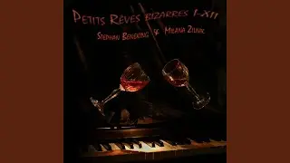Petit Reve Bizarre IX (feat. Stephan Beneking & Stephan Beneking)
