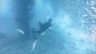 Underwater orchestra