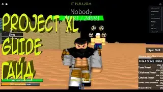 Project XL Гайд по развитию, и что делать в этом плейсе.