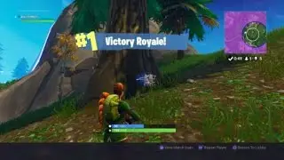 Fortnite solo win
