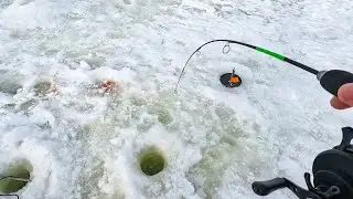 ЛУНКА КИПИТ от БОРЬБЫ с РЫБОЙ. Рыбалка на блесну и силикон со льда в 2024