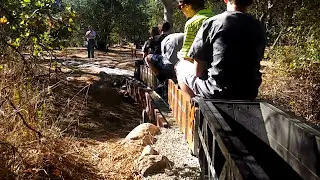 Dry Gulch & Last Chance Railroad Track Expansion with Two Engines