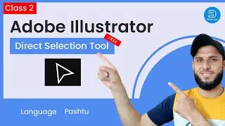 Adobe Illustrator Training   Class 02   Direct Selection Tool Pashto