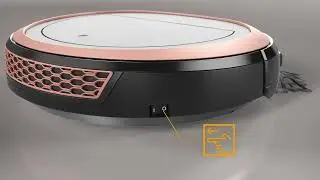 How do I clean the brushes on my Scout RX3? | Miele Australia