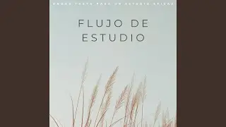 Activación De Enfoque Profundo