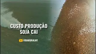 CUSTO TOTAL DE PRODUÇÃO DA SAFRA 2024/25 CAI 2%