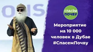 Мероприятие в Дубае
