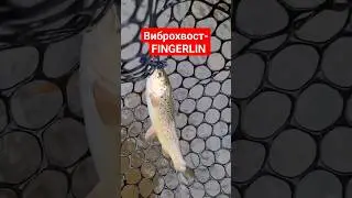 #youtubeshorts #youtuber #fishing #fishingtips #рекомендации #рек #рыбалка #врек #врекомендации