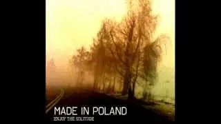 Made in Poland - Scarecrow (Ministry cover)