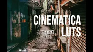Hendsed | DaVinci Resolve Cinematica Luts
