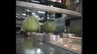 Автоматическая машина для высверливания кочерыжек капусты HWG-02