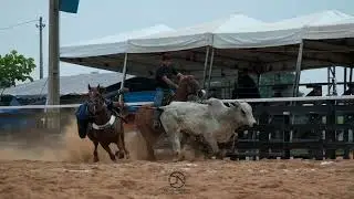 VAQUEJADA