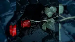 Buster - Розы (slowed & reverb & bass boost)