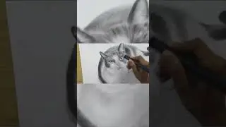 Электроластик