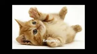 Хищник.  Валерий Гурков . Проза